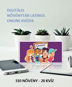 Digitális Növénytár Latinul - Online Kvíz feladatgyűjtemény