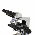 The parts of a light microscope