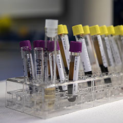 Environmental chemistry