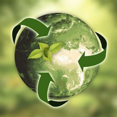 Carbon cycle