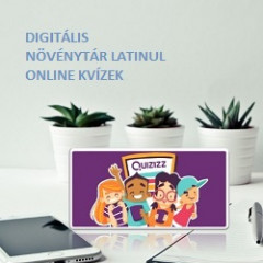 Kvíz Flashcards
