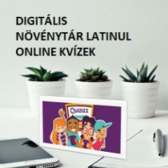 TESZT DOLGOZAT